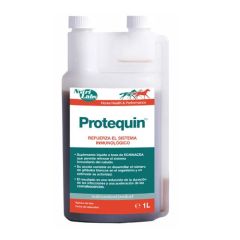 Protequin Pferde 1 l. (Lieferung 3 - 5 Tages)