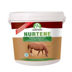 Nurtene Pferde