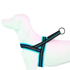 Gurtzeug Dog Freedog Soft Sport Turquoise