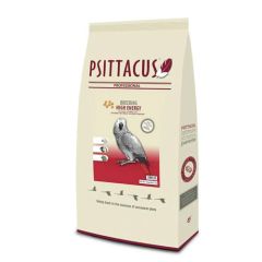 Psittacus Breeding High Energy