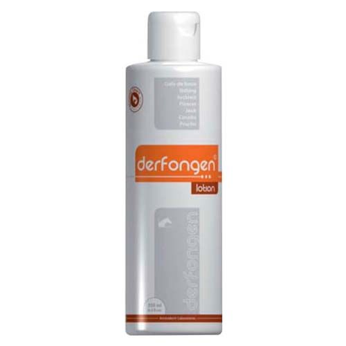 Derfongen Pferde 250 ml