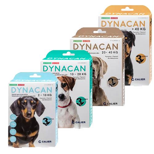 Dynacan