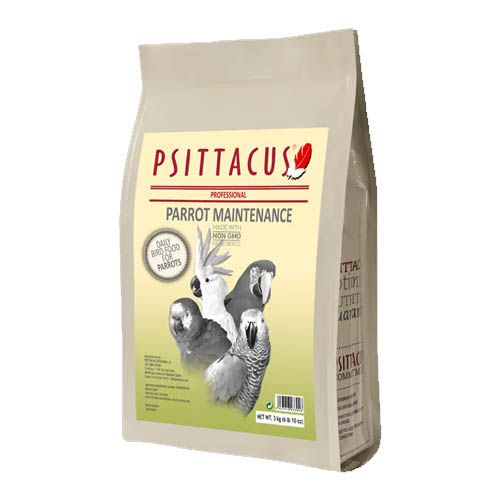 Psittacus Parrot Maintenance