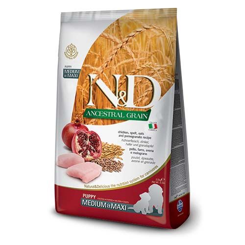 Farmina N&D Ancestral Grain Puppy Medium - Maxi Hähnchen Hund